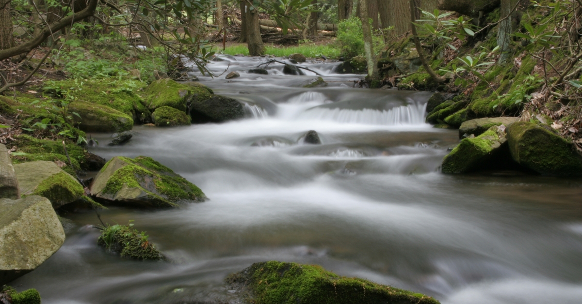 PlaceSpeak - Spring Creek Watershed Study